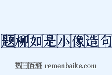 题柳如是小像造句是什么意思的图片